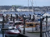 chris-craft-rendezvous-2008_02