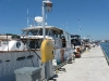 chris-craft-rendezvous-2010_36